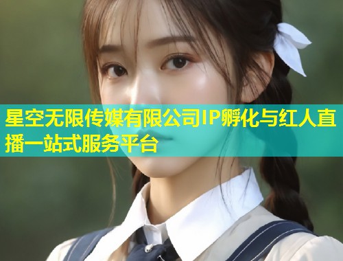 星空无限传媒有限公司IP孵化与红人直播一站式服务平台  第1张