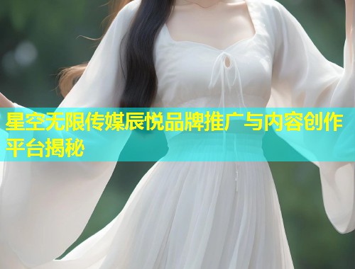 星空无限传媒辰悦品牌推广与内容创作平台揭秘  第2张